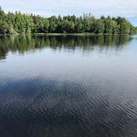 Christine True Photo 6