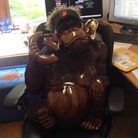 Timothy Fazio Photo 4