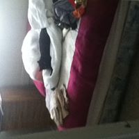 Aurora Alvarado Photo 12