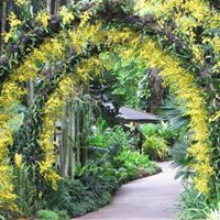 Susan Drysdale Photo 12