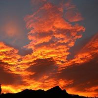 Martha Richey Photo 6