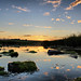 Mary Holm Photo 18