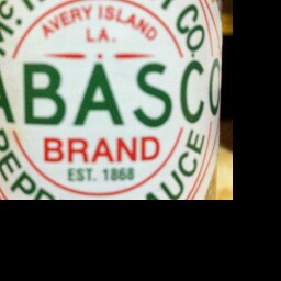 Troy Hamilton Photo 10