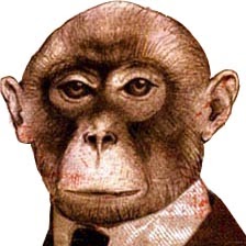 Mark Becker Photo 37