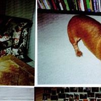 Jeffrey Weiner Photo 38