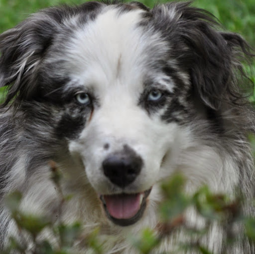 Patsy Wright Photo 14