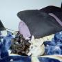 Amanda Knotts Photo 15