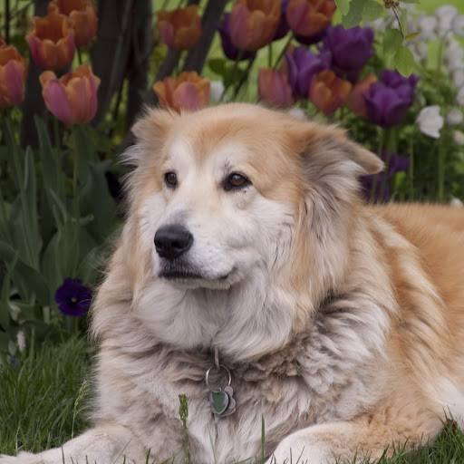 Penny Proctor Photo 6