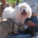 Willie Pride Photo 5