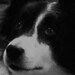 Beth Borders Photo 22