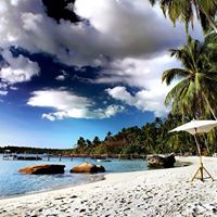 Louise Fleming Photo 16