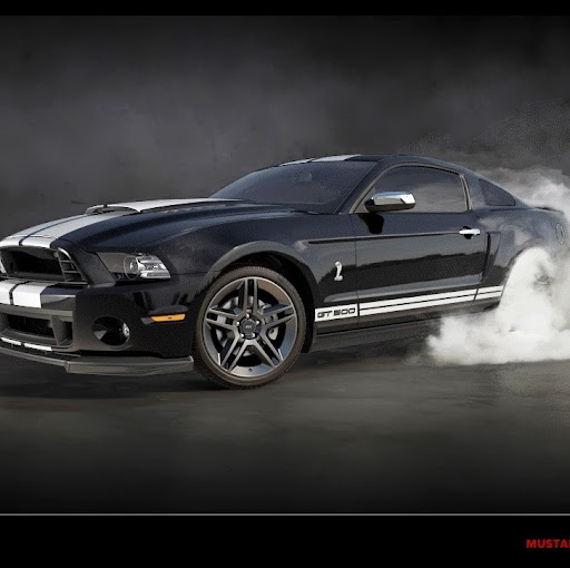 William Morton Photo 42