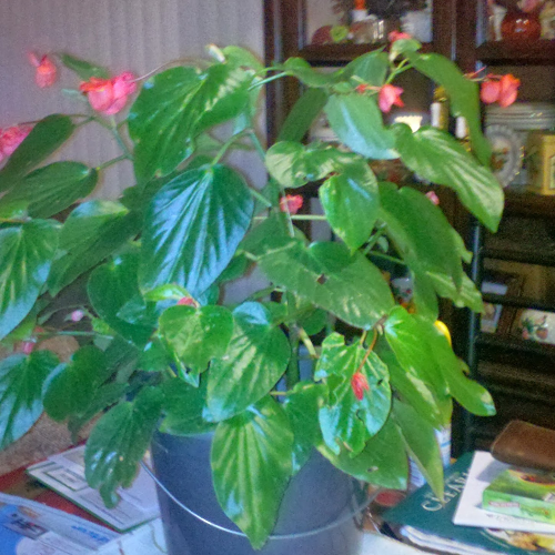 Vicki Lynch Photo 11