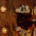 Lisa Hebert Photo 37