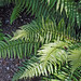 Richard Shields Photo 25