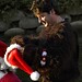 Stephen Gatto Photo 15