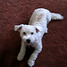 Katherine Kirby Photo 8