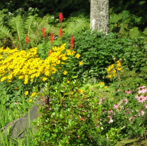 Susan Cliff Photo 13