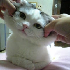 Yin Lin Photo 21