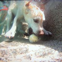 Carl Hill Photo 46 Carl Hill Photo 46