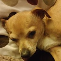 Tina Sharpe Photo 24