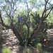 Mike Tucson Photo 3