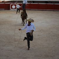 Allen Whitaker Photo 11