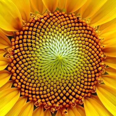 Jenny Primm Photo 10