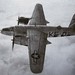 Joel Roth Photo 35