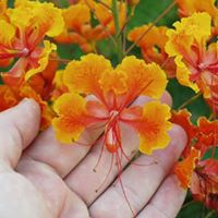 Maria Fischer Photo 16