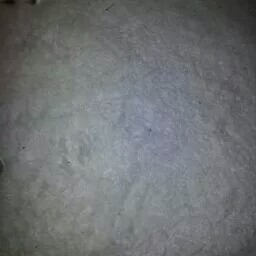 Robert Caruso Photo 17