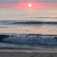 Kim Mckinney Photo 42