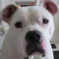 James Parr Photo 35 James Parr Photo 35