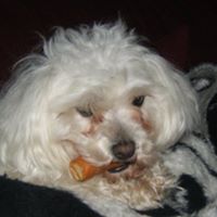 Sharon Covington Photo 20