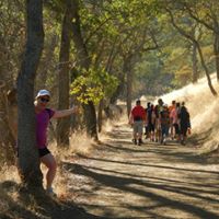 Susan Apodaca Photo 27