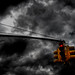 Timothy Light Photo 22