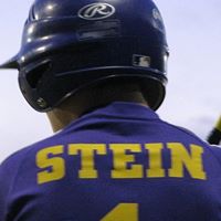 Cynthia Stein Photo 17