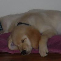 Cynthia Dougherty Photo 15