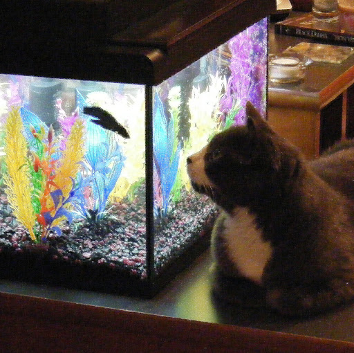 Warren Tyler Photo 32