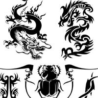 Ronnie Skinner Photo 12