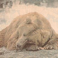 Richard Burr Photo 41 Richard Burr Photo 41