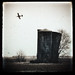 Don Rinehart Photo 24