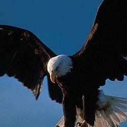 David Quintal Photo 10