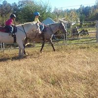 Dana Shipman Photo 10