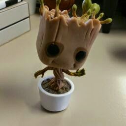 Christopher Proctor Photo 33