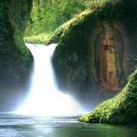 Maria Camarillo Photo 22