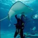 Robyn Torres Photo 8