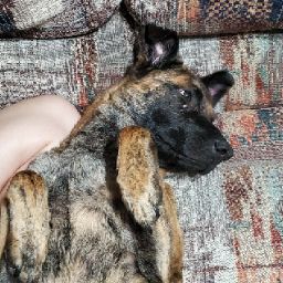 Robbie Bradshaw Photo 22