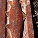 Rusty Trout Photo 6