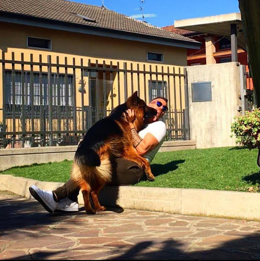 Michele Colombo Photo 4